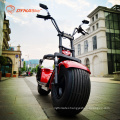 Dynavolt fashion style fat tire electric scooter high quality wide wheel